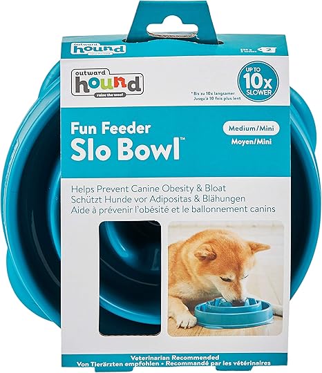 Outward Hound Fun Feeder Slo Bowl, Turqouise, Medium/Mini