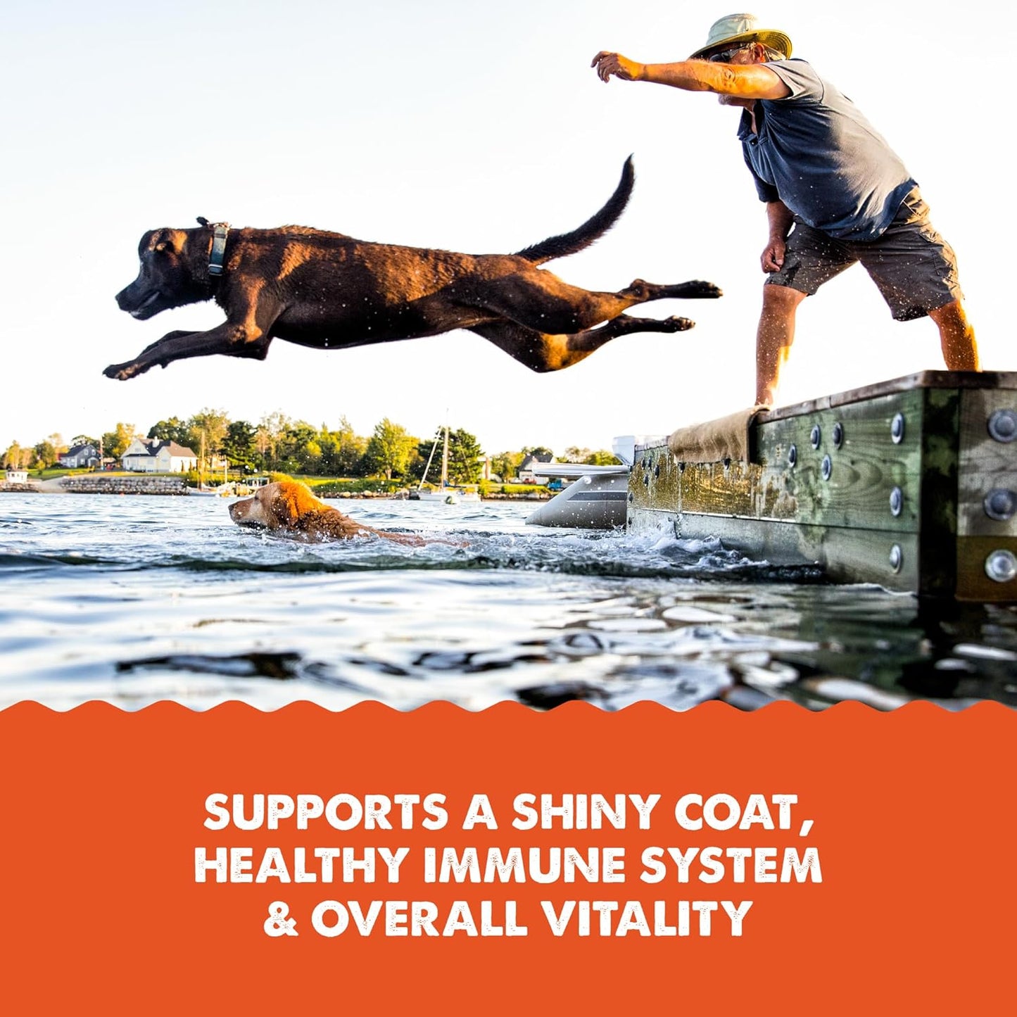 Grizzly Salmon Oil Food Supplement for Dogs and Cats