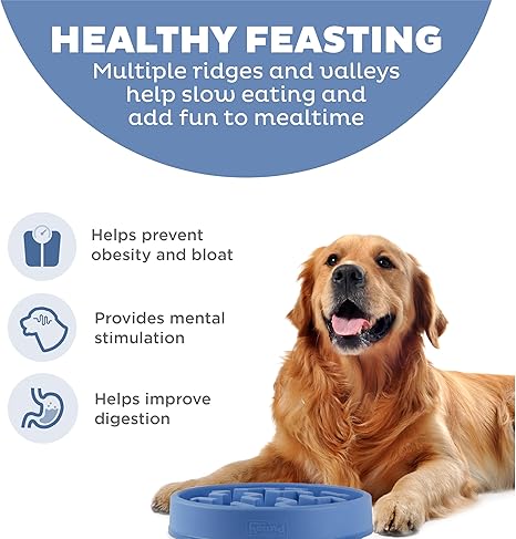 Outward Hound Fun Feeder Slo Bowl Dog Feeder, Blue, Large