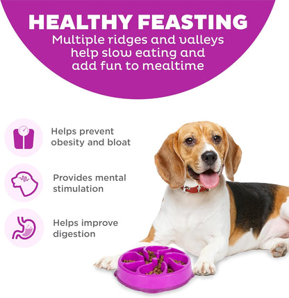 Outward Hound Fun Feeder Slo Bowl, Purple, Medium/Mini