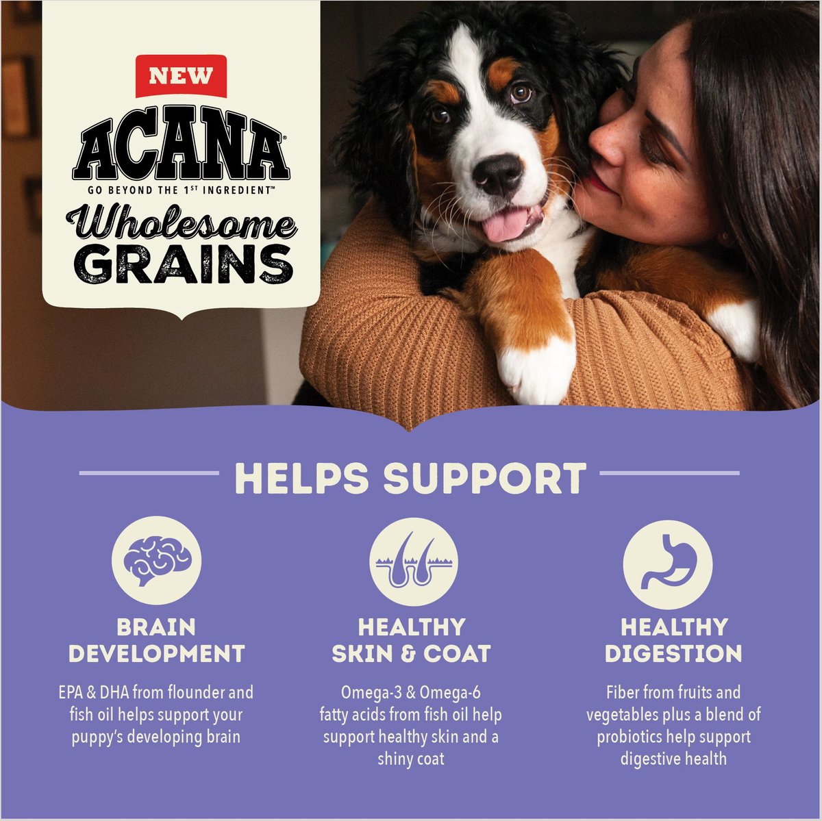 ACANA Wholesome Grains Large Breed Puppy Dry Dog Food