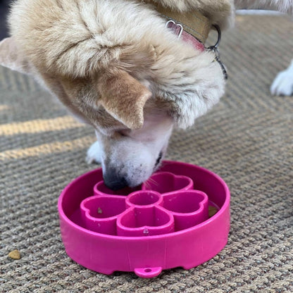 SodaPup Enrichment Slow Feeder Bowl, Flower