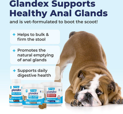 Vetnique Labs Glandex for Dogs Anal Gland Support Peanut Butter Flavored Pumpkin Fiber Soft Chew Supplement for Dogs