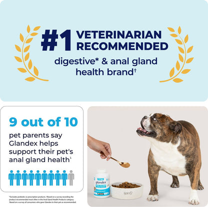 Vetnique Labs Glandex Beef Liver Flavored Pumpkin Fiber Powder Supplement for Dogs and Cats