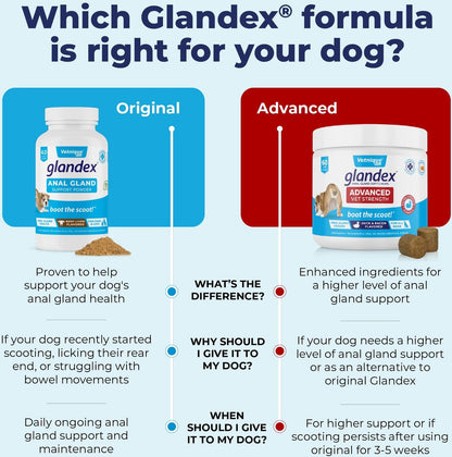 Vetnique Labs Glandex Beef Liver Flavored Pumpkin Fiber Powder Supplement for Dogs and Cats