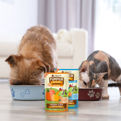 Weruva Pumpkin Patch Up! Dog and Cat Food Supplement for Dogs and Cats