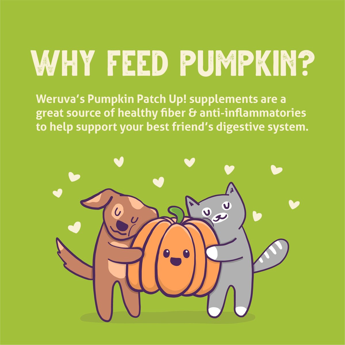 Weruva Pumpkin Patch Up! Dog and Cat Food Supplement for Dogs and Cats