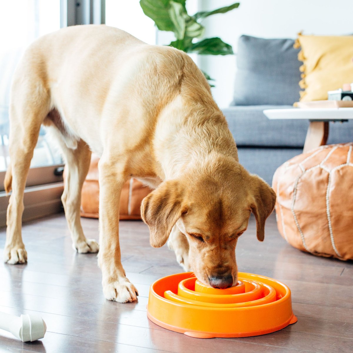 Outward Hound Fun Feeder Slo Bowl, Orange, Large