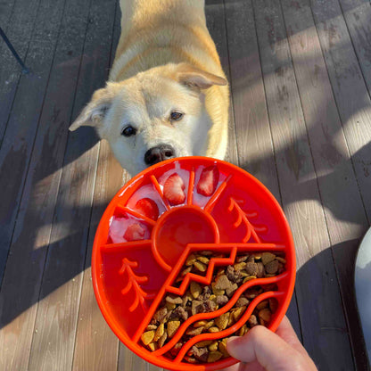 SodaPup Enrichment Slow Feeder Bowl, Great Outdoors