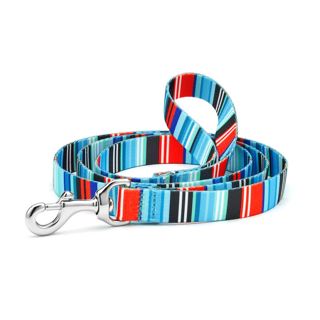 Up Country Serape Stripe Dog Lead