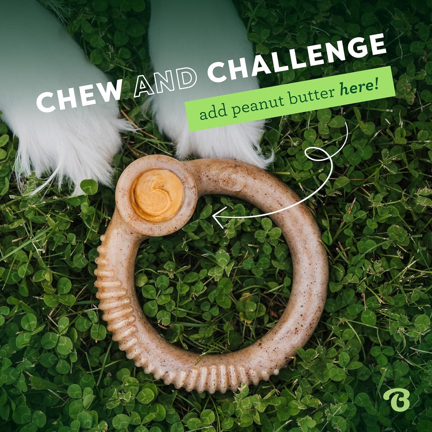 Benebone Dog Ring Bacon Flavor Chew Toy