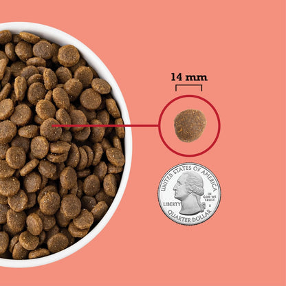 ACANA Red Meat Recipe Grain-Free Dry Dog Food