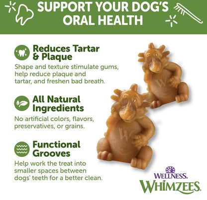 WHIMZEES by Wellness Hedgehog Natural Grain-Free Dental Dog Treats, Large