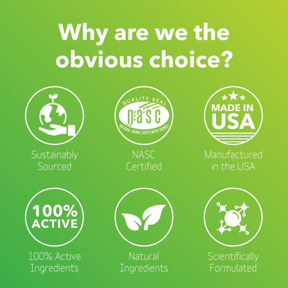 InClover Allergy Supplement for Dogs and Cats