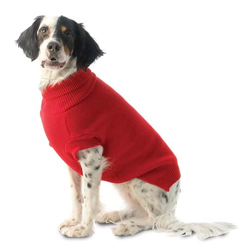 PetRageous Baxter's Basic Sweater