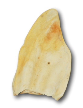 Healthy Dog Chews Dog Cow Ears, Large