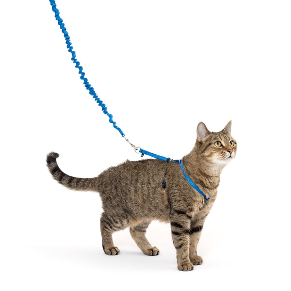 PetSafe Come With Me Kitty Harness and Bungee Cat Leash, Blue