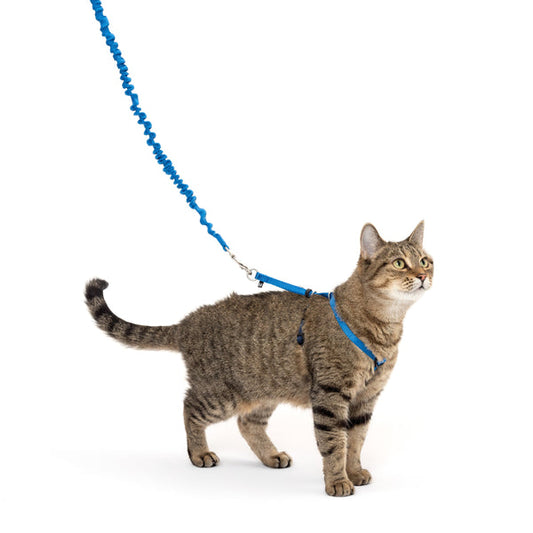 PetSafe Come With Me Kitty Harness and Bungee Cat Leash, Blue