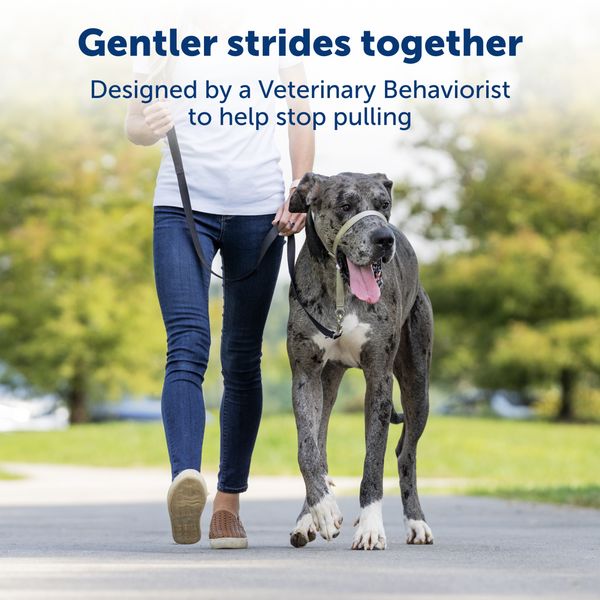 Gentle Leader Headcollar, No-Pull Dog Collar