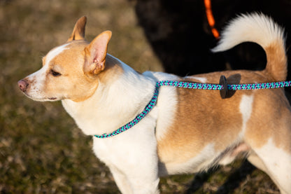 Harness Lead Dog Anti Pull Reflective Harness, Vaporwave (Purple/Turquoise)