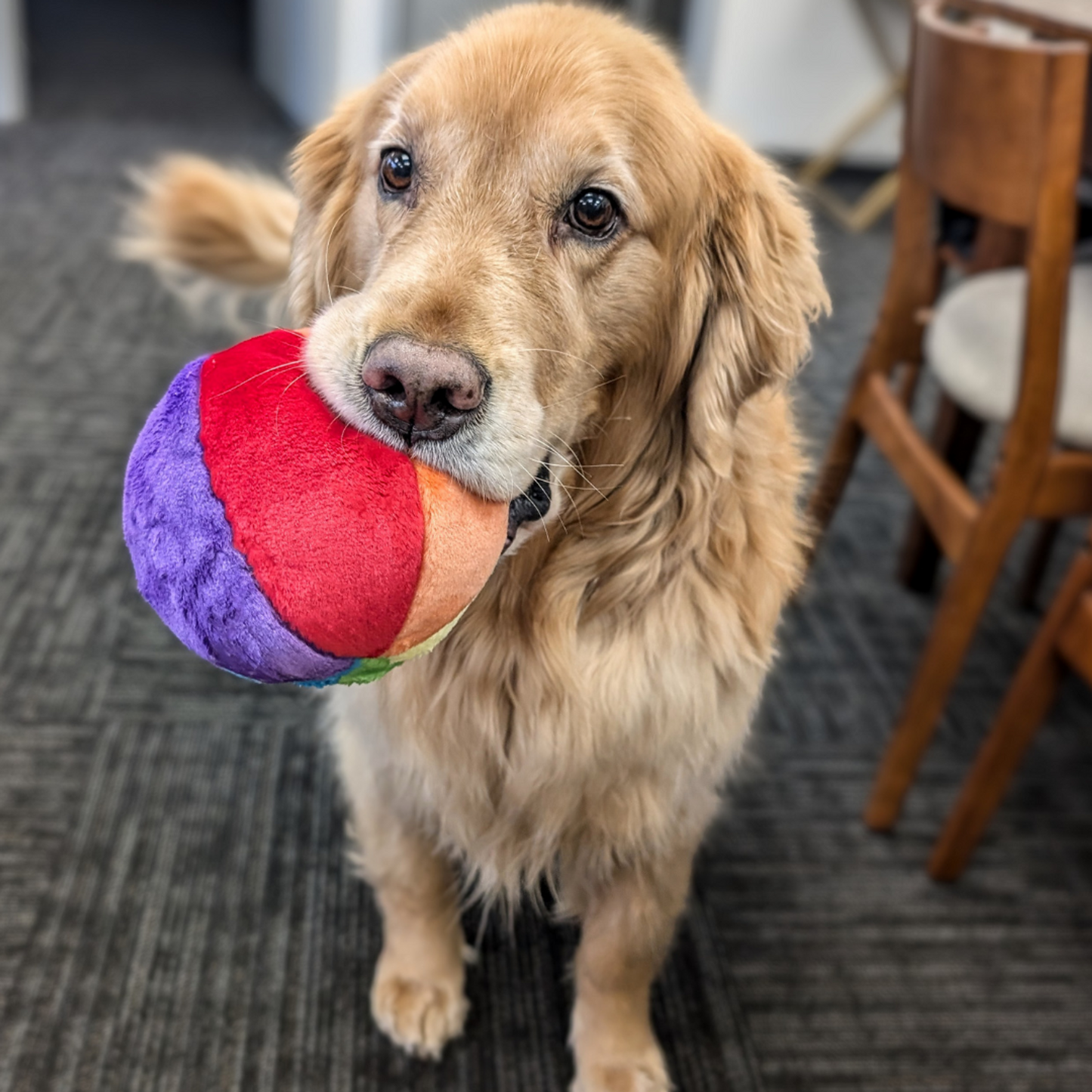 Fluff & Tuff Mini Beach Ball Plush Dog Toy