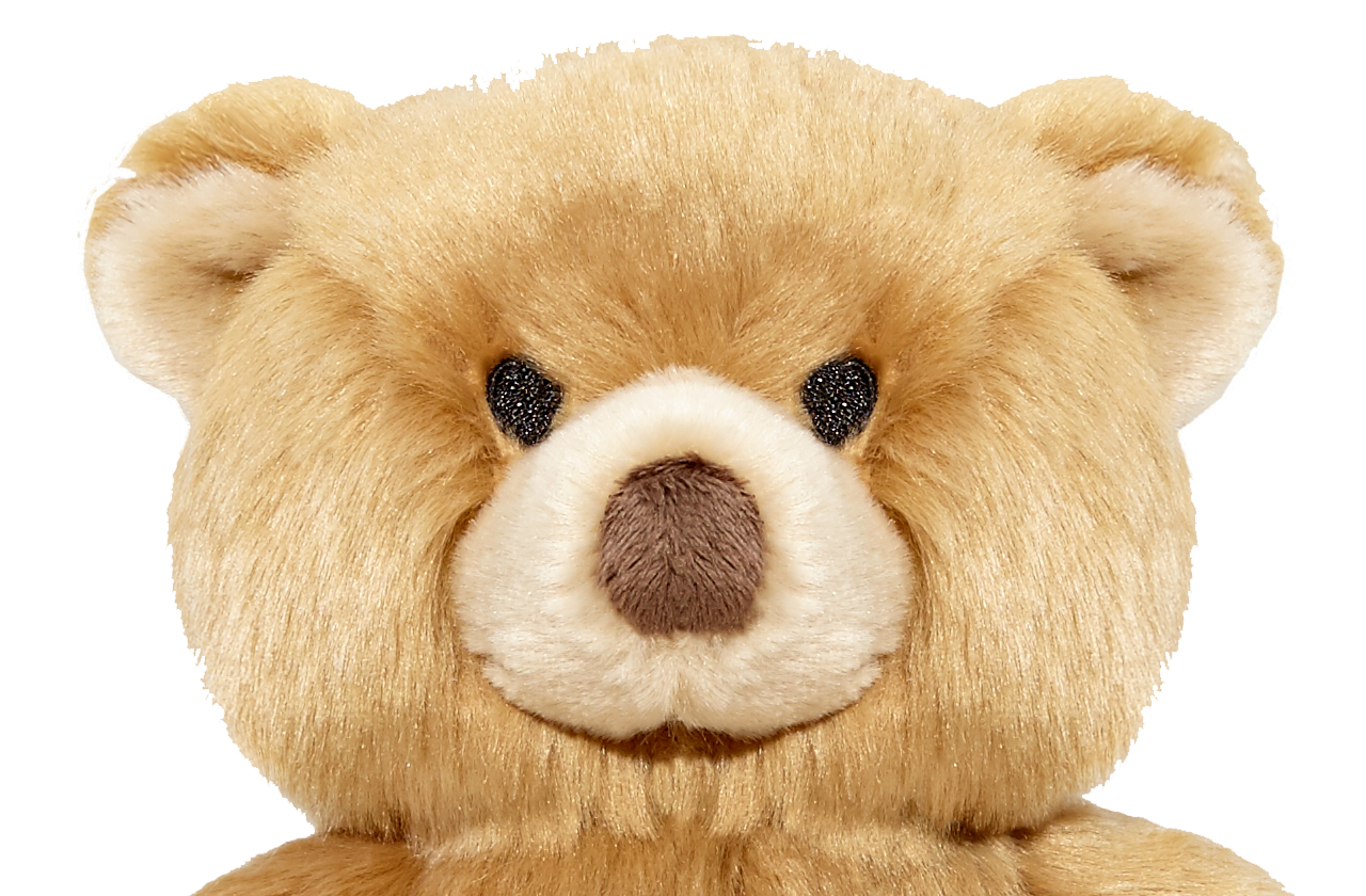 Fluff & Tuff Dog Mr. Honey Bear Plush Toy