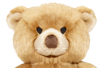 Fluff & Tuff Dog Mr. Honey Bear Plush Toy