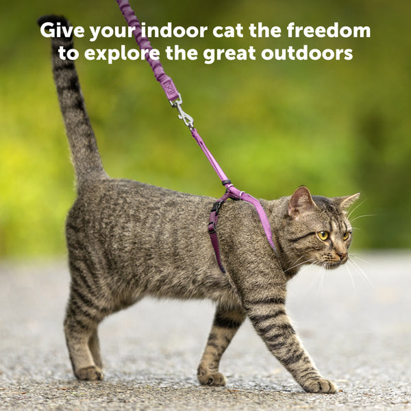 PetSafe Come With Me Kitty Harness and Bungee Cat Leash, Blue