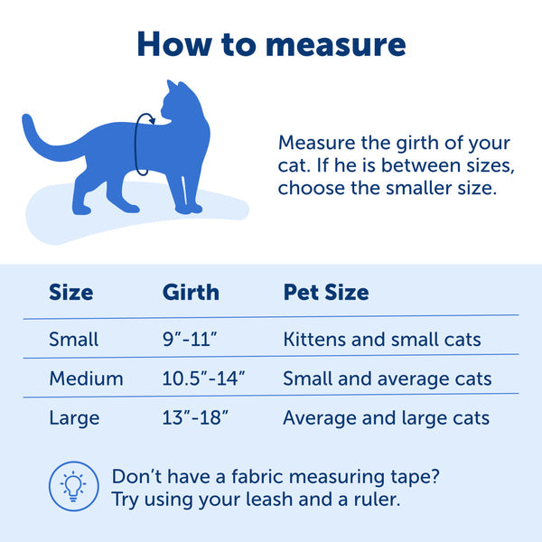 PetSafe Come With Me Kitty Harness and Bungee Cat Leash, Blue