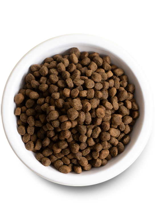 Open Farm Dog Grain Free Grassfed Beef Dry Food