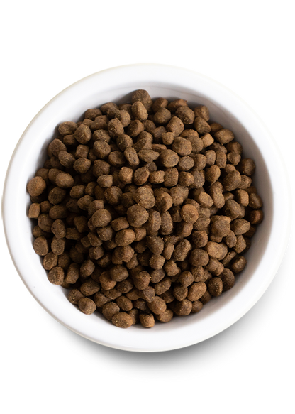 Open Farm Dog Grain Free Grassfed Beef Dry Food