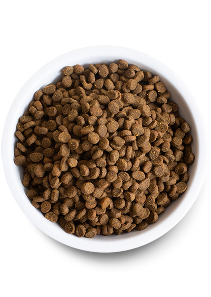 Open Farm Cat Grain Free Wild Salmon Dry Food