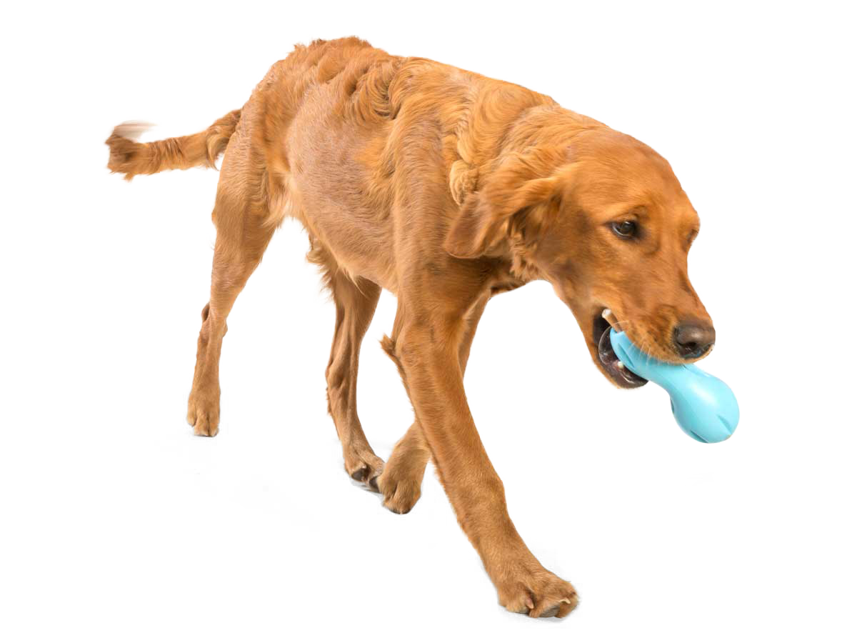 West Paw Dog Qwizl Tough Treat Dispensing Chew Toy