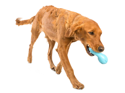 West Paw Dog Qwizl Tough Treat Dispensing Chew Toy