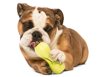 West Paw Dog Qwizl Tough Treat Dispensing Chew Toy