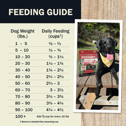Redbarn Dog Grain Free Gently Air Dried Beef Powerfood