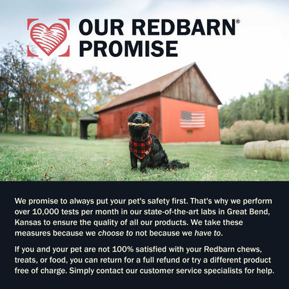 Redbarn Dog Grain Free Gently Air Dried Beef Powerfood