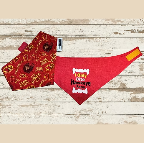 Lulu London I Only Bite Hawkeye Fans Reversible Dog Bandana