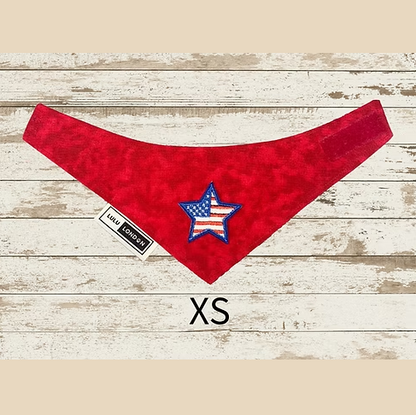Lulu London Team USA Custom Reversible Dog Bandana