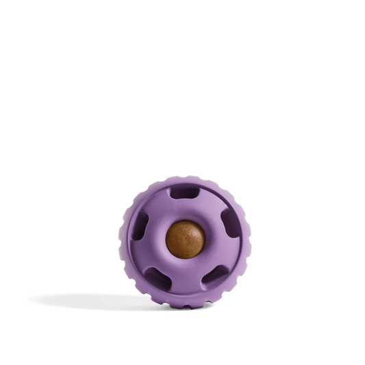 Woof Pupsicle Refillable Dog Treat Dispenser Toy, Lavender