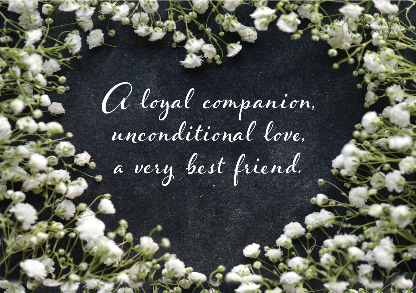 Dog Speak "A Loyal Companion" Sympathy Card