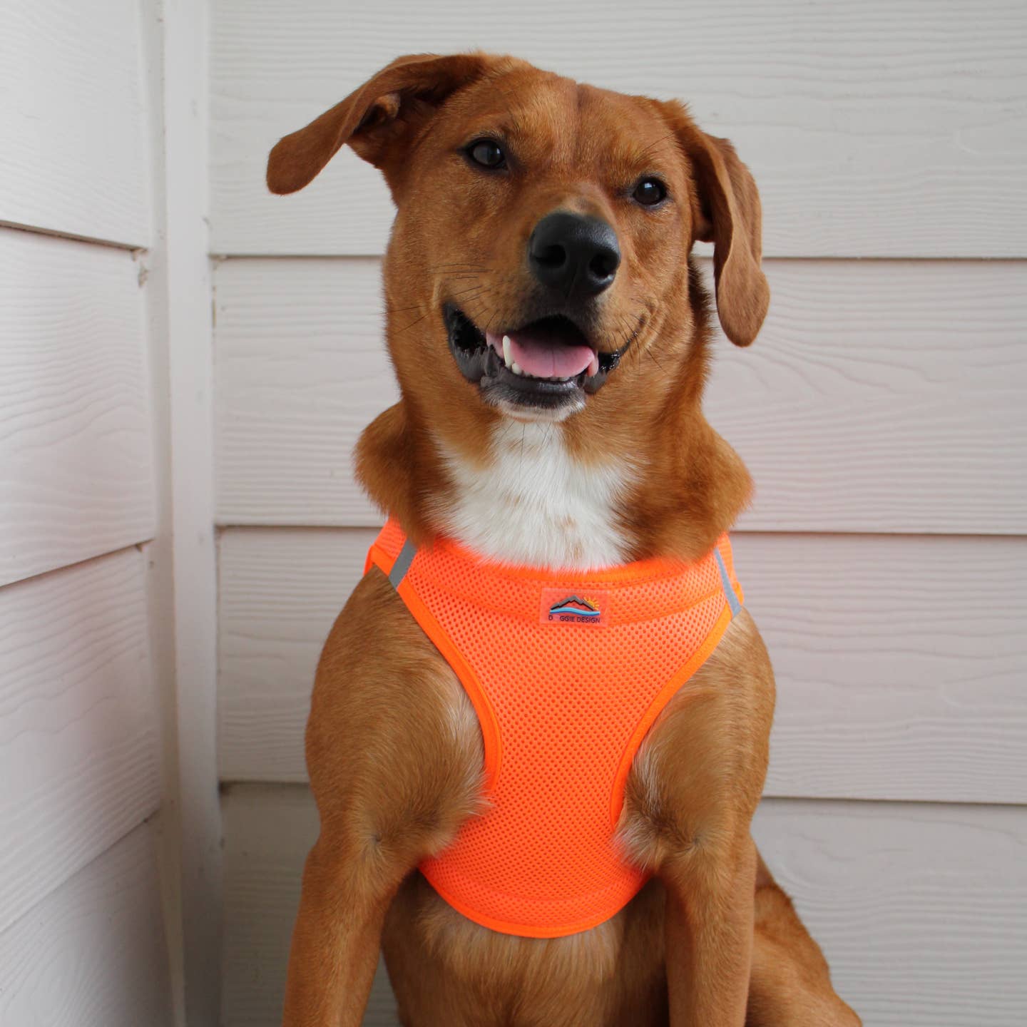 Doggie Design American River Solid Dog Harness, Hunter Orange