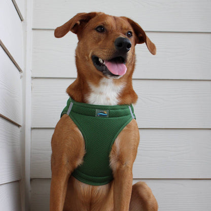 Doggie Design American River Solid Dog Harness, Dark Forest Green