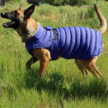 Doggie Design Alpine Extreme Weather Puffer Coat, Navy Blue