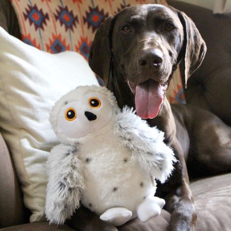 Tall Tails Dog Animated Snow Owl Toy