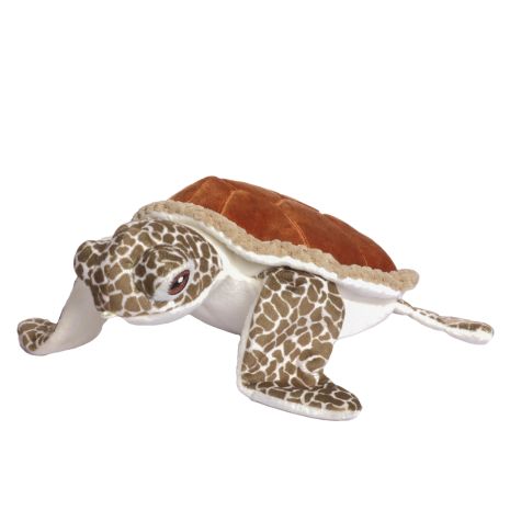 Tall Tails Dog Animated Sea Turtle Toy