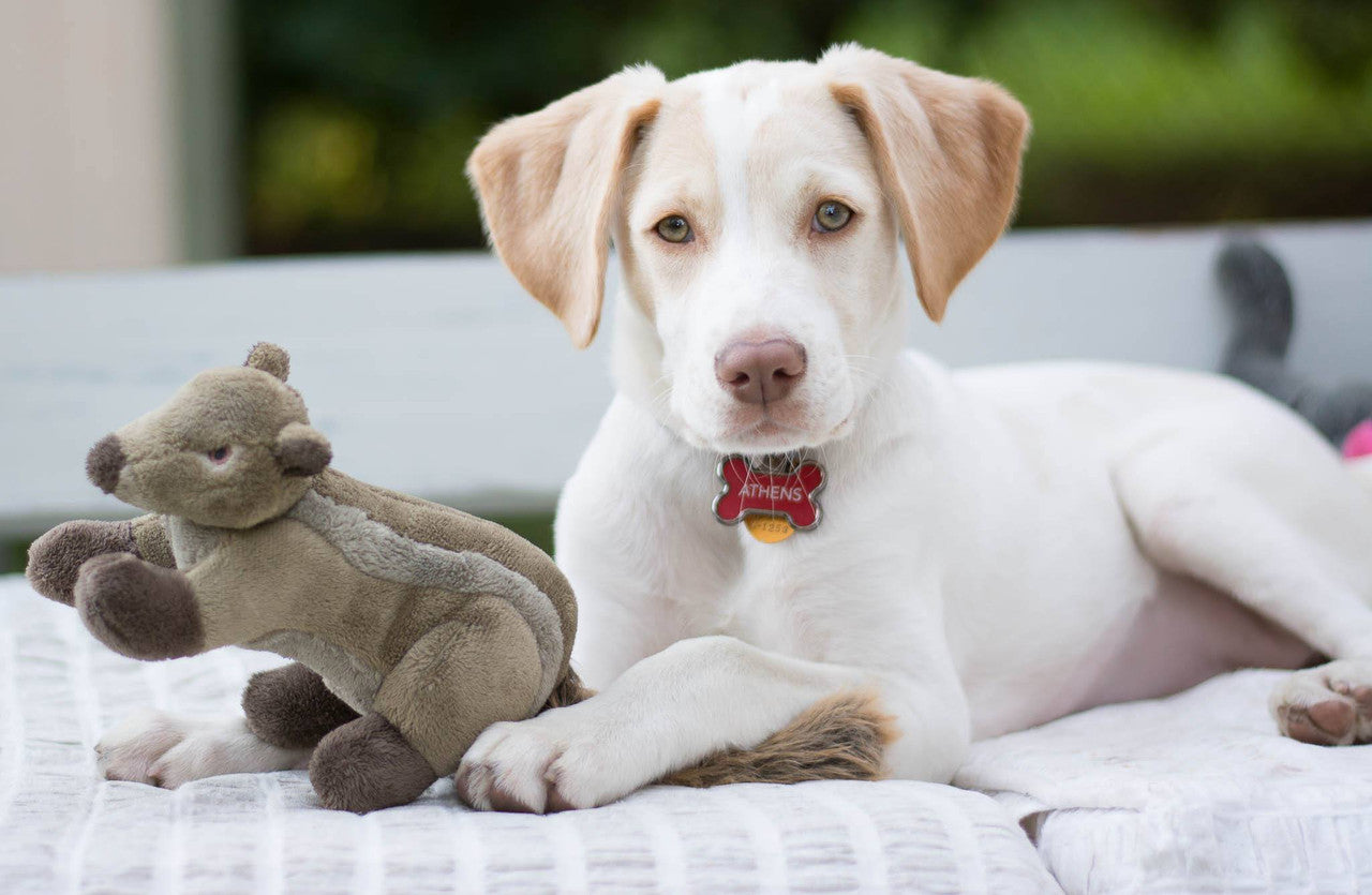 Fluff & Tuff Dog Peanut Chipmunk Plush Toy