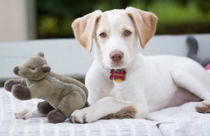 Fluff & Tuff Dog Peanut Chipmunk Plush Toy