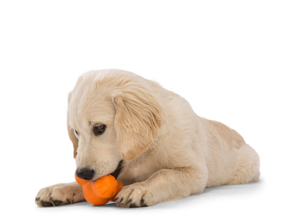 West Paw Tux Puzzle Treat-Dispensing Slow Feeder Dog Toy