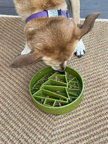 SodaPup Enrichment Slow Feeder Bowl, Pine Tree